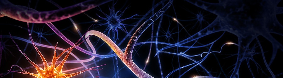 Neurologie NPZR